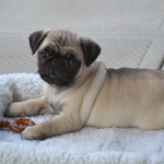 今の自分で堂々とする!と決めれば、上手くいく。